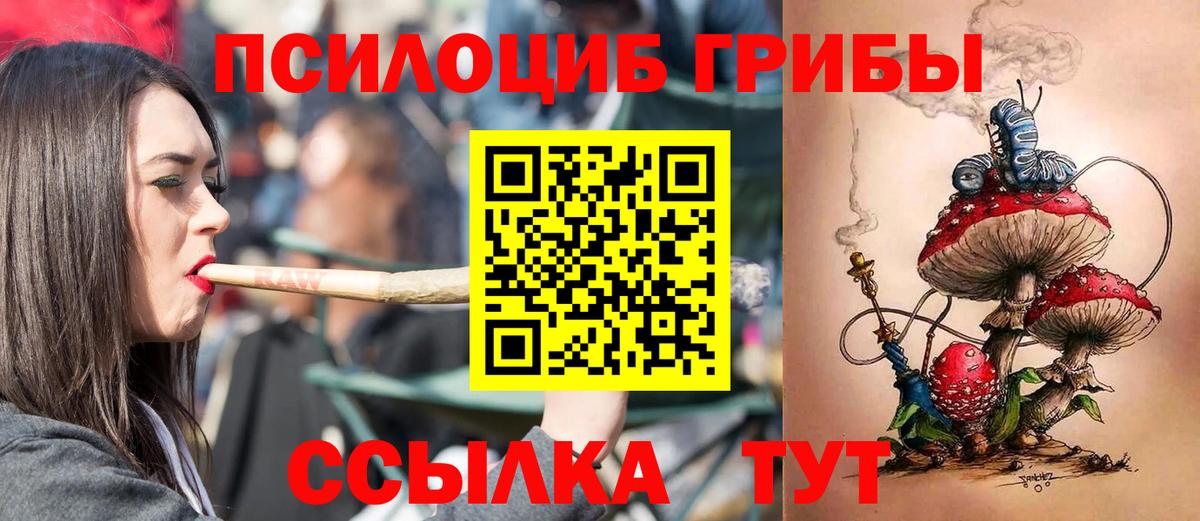 Псилоцибиновые грибы GOLDEN TEACHER  Вход с VPN  Галлюциногенные грибы MAGIC MUSHROOMS  Химки 